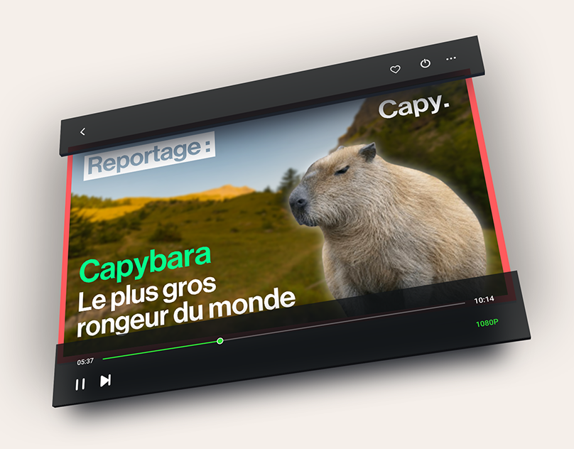 Reportages Brut fictifs